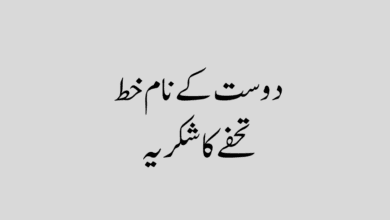 Letter to Your Friend Thanking Him for the Gift دوست کے نام خط