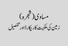 Pedigree land ownership record and details مساوی (شجرہ) کیا ہوتا ہے