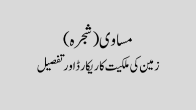 مساوی (شجرہ) کیا ہوتا ہے