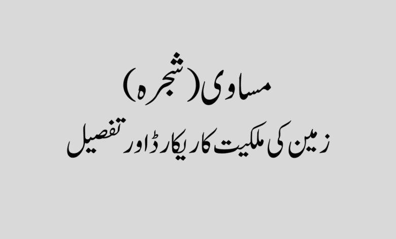Pedigree land ownership record and details مساوی (شجرہ) کیا ہوتا ہے