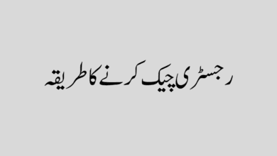 Registry Check Karne Ka Tarika in Urdu رجسٹری چیک کرنے کا طریقہ