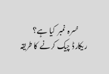 What is Khasra Number خسرہ نمبر