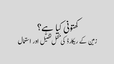 What is Khatooni کھتونی