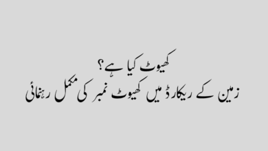 What is Khewat number in land کھیوٹ نمبر