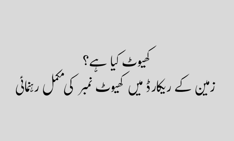 What is Khewat number in land کھیوٹ نمبر