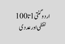 urdu ginti اردو گنتی