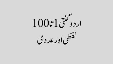 urdu ginti اردو گنتی