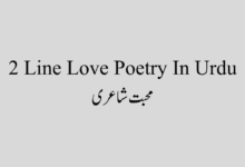 2 Line Love Poetry In Urdu