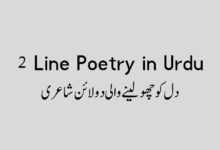 2 Line Poetry in Urdu