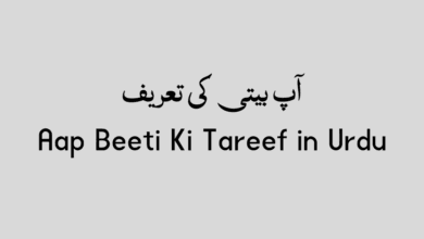 Aap Beeti Ki Tareef in Urdu Aap Beeti Ki Tareef in Urdu