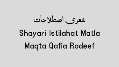 Shayari Istilahat Matla Maqta Qafia Radeef in Urdu Shayari Istilahat Matla Maqta Qafia Radeef in Urdu
