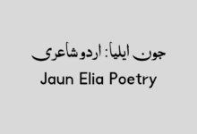 jaun elia poetry jaun elia poetry in urdu