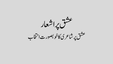 عشق پر شاعری,عشق پر شاعری ,عشق پر شعر