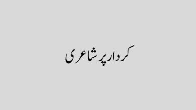 کردار پر شاعری