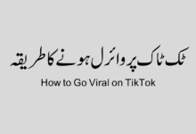 How to Go Viral on TikTok How to Go Viral on TikTok