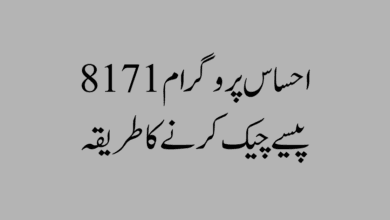 احساس پروگرام 8171 پیسے چیک کرنے کا طریقہ
